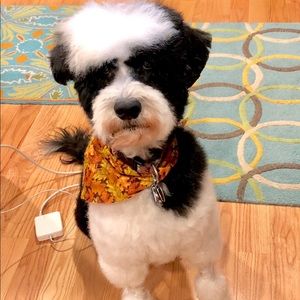 Meet your Posher, Jan